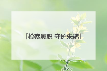 检察履职 守护朱鹮