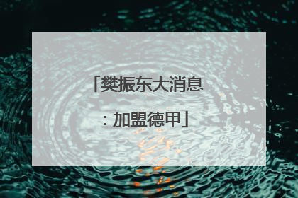 樊振东大消息：加盟德甲