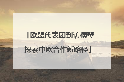 欧盟代表团到访横琴 探索中欧合作新路径