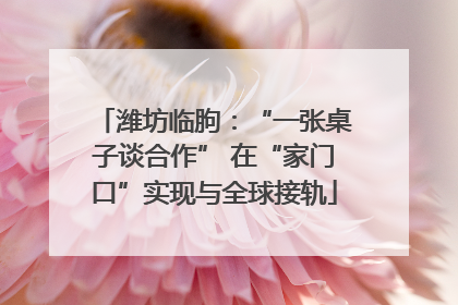 潍坊临朐：“一张桌子谈合作” 在“家门口”实现与全球接轨
