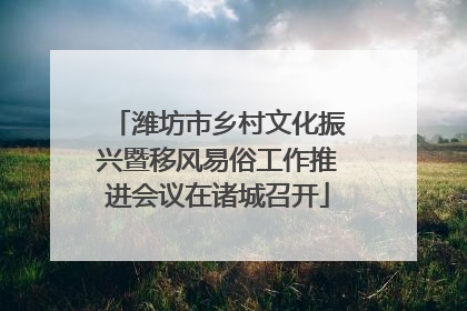 潍坊市乡村文化振兴暨移风易俗工作推进会议在诸城召开