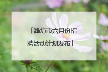潍坊市六月份招聘活动计划发布