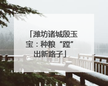 潍坊诸城殷玉宝：种粮“蹚”出新路子