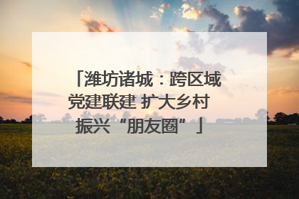 潍坊诸城：跨区域党建联建 扩大乡村振兴“朋友圈”