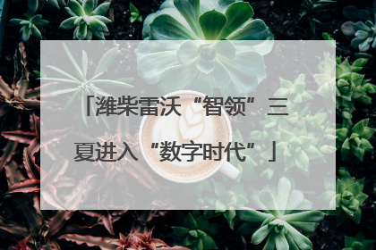 潍柴雷沃“智领”三夏进入“数字时代”