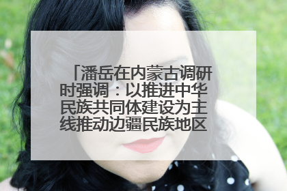 潘岳在内蒙古调研时强调：以推进中华民族共同体建设为主线推动边疆民族地区高质量发展
