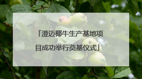 澄迈椰牛生产基地项目成功举行奠基仪式