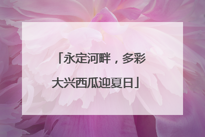 永定河畔，多彩大兴西瓜迎夏日