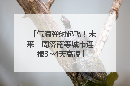 气温弹射起飞！未来一周济南等城市连报3~4天高温