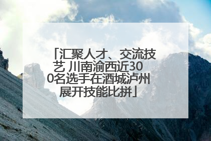 汇聚人才、交流技艺 川南渝西近300名选手在酒城泸州展开技能比拼