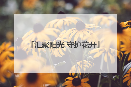 汇聚阳光 守护花开