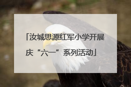 汝城思源红军小学开展庆“六一”系列活动