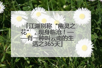 江湖别称“幽灵之花”，现身临沧！——有一种叫云南的生活之365天