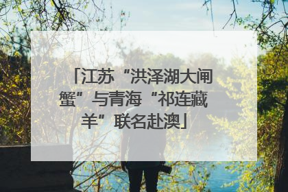 江苏“洪泽湖大闸蟹”与青海“祁连藏羊”联名赴澳