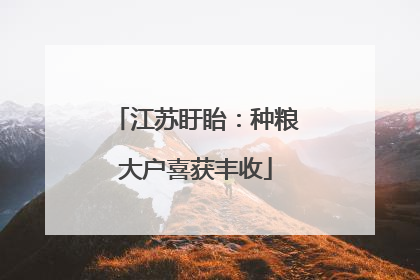 江苏盱眙：种粮大户喜获丰收
