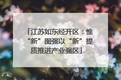 江苏如东经开区：惟“新”图强以“新”提质推进产业强区
