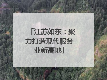 江苏如东：聚力打造现代服务业新高地