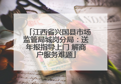 江西省兴国县市场监管局城岗分局：送年报指导上门 解商户服务难题