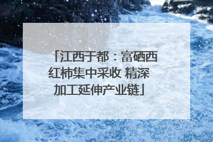 江西于都：富硒西红柿集中采收 精深加工延伸产业链