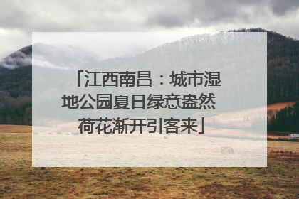 江西南昌：城市湿地公园夏日绿意盎然 荷花渐开引客来