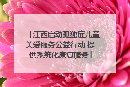 江西启动孤独症儿童关爱服务公益行动 提供系统化康复服务