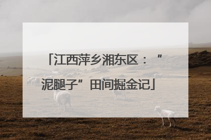 江西萍乡湘东区：“泥腿子”田间掘金记