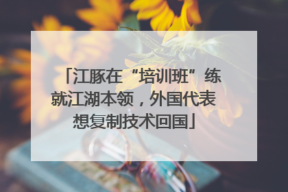 江豚在“培训班”练就江湖本领，外国代表想复制技术回国