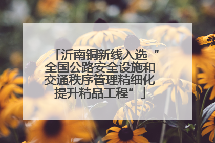 沂南铜新线入选“全国公路安全设施和交通秩序管理精细化提升精品工程”