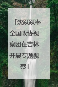 沈跃跃率全国政协视察团在吉林开展专题视察