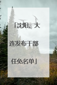 沈阳、大连发布干部任免名单