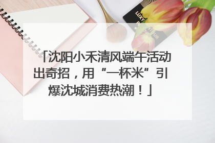 沈阳小禾清风端午活动出奇招，用“一杯米”引爆沈城消费热潮！