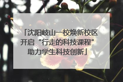 沈阳岐山一校焕新校区开启“行走的科技课程”助力学生科技创新