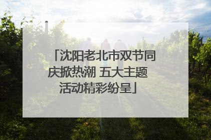 沈阳老北市双节同庆掀热潮 五大主题活动精彩纷呈