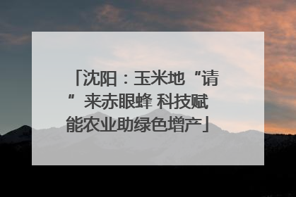 沈阳：玉米地“请”来赤眼蜂 科技赋能农业助绿色增产