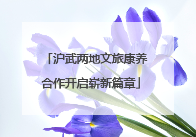 沪武两地文旅康养合作开启崭新篇章