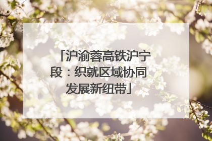 沪渝蓉高铁沪宁段：织就区域协同发展新纽带