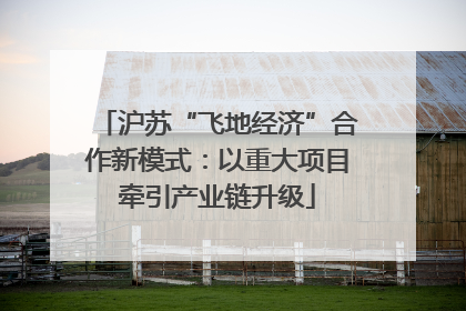 沪苏“飞地经济”合作新模式：以重大项目牵引产业链升级