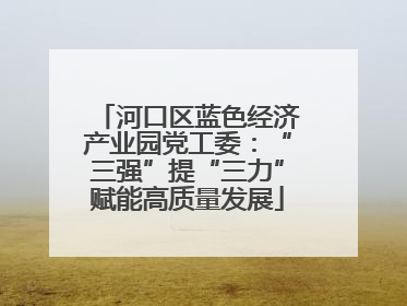 河口区蓝色经济产业园党工委：“三强”提“三力”赋能高质量发展
