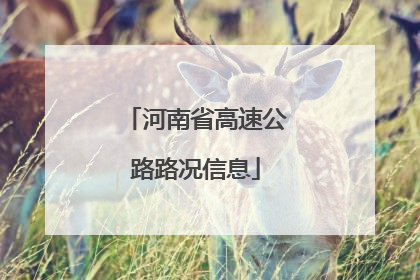 河南省高速公路路况信息