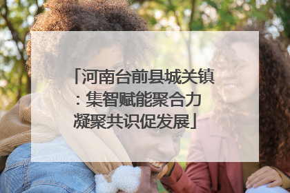 河南台前县城关镇：集智赋能聚合力 凝聚共识促发展
