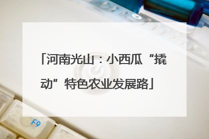 河南光山：小西瓜“撬动”特色农业发展路