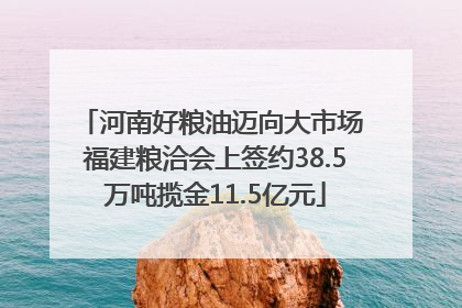 河南好粮油迈向大市场 福建粮洽会上签约38.5万吨揽金11.5亿元