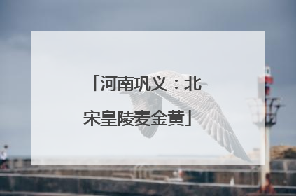 河南巩义：北宋皇陵麦金黄