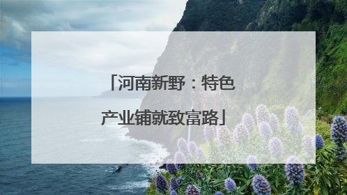 河南新野：特色产业铺就致富路