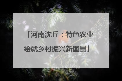 河南沈丘：特色农业绘就乡村振兴新图景