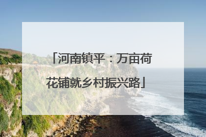 河南镇平：万亩荷花铺就乡村振兴路