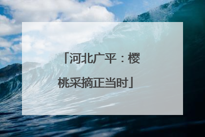 河北广平：樱桃采摘正当时