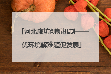 河北廊坊创新机制——优环境解难题促发展