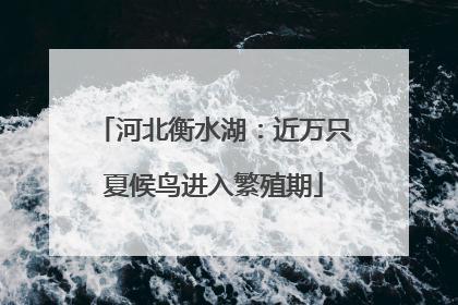 河北衡水湖：近万只夏候鸟进入繁殖期