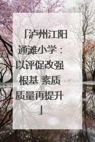 泸州江阳通滩小学：以评促改强根基 素质质量再提升